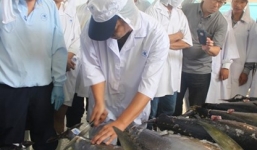 Bán đầu giá lô cá ngừ đại dương đầu tiên của Việt Nam tại Nhật Bản